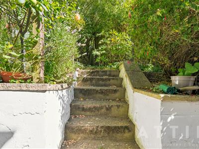 Picture 31